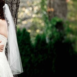 David’s Bridal wedding veil